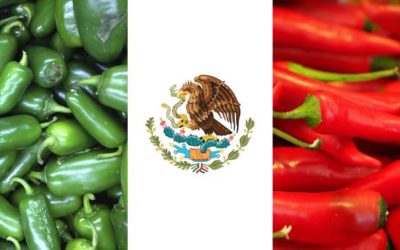 Les piments ou « Los Chiles », partie intégrante de la gastronomie mexicaine