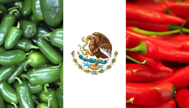 Les piments ou « Los Chiles », partie intégrante de la gastronomie mexicaine