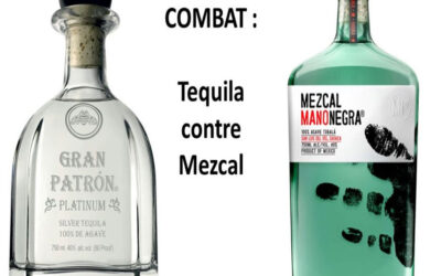 Tequila ou Mezcal : Quelles sont les différences ?
