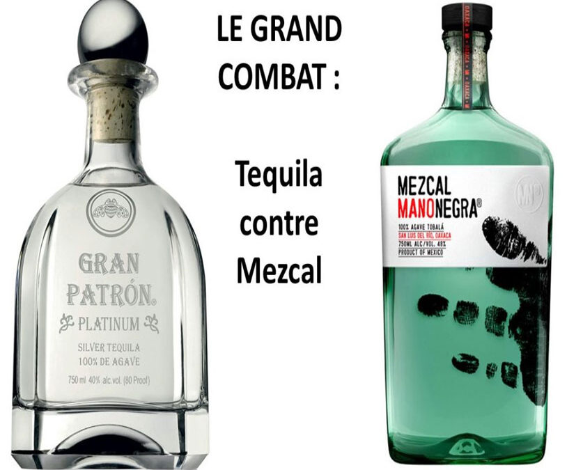Tequila ou Mezcal : Quelles sont les différences ?