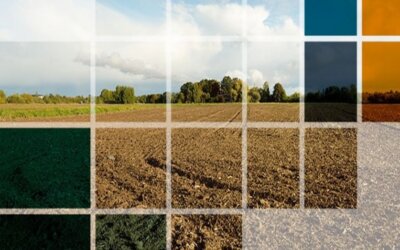 Acheter un terrain sur la Riviera Maya : comprendre les différents types de propriétés